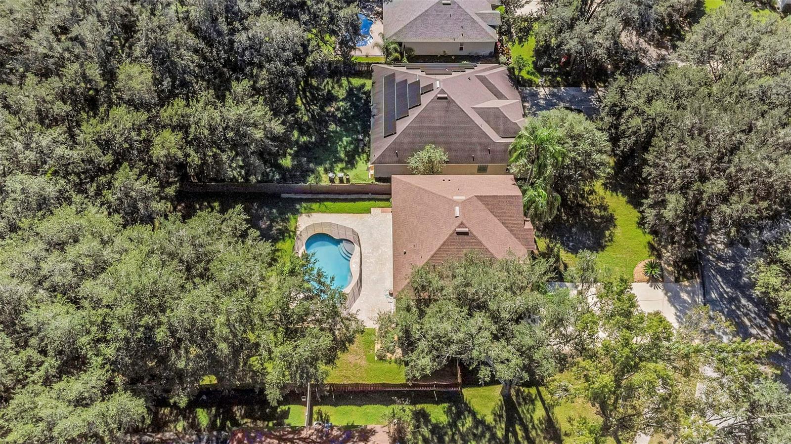 1406 MCCREA DRIVE, Lutz, FL 33549