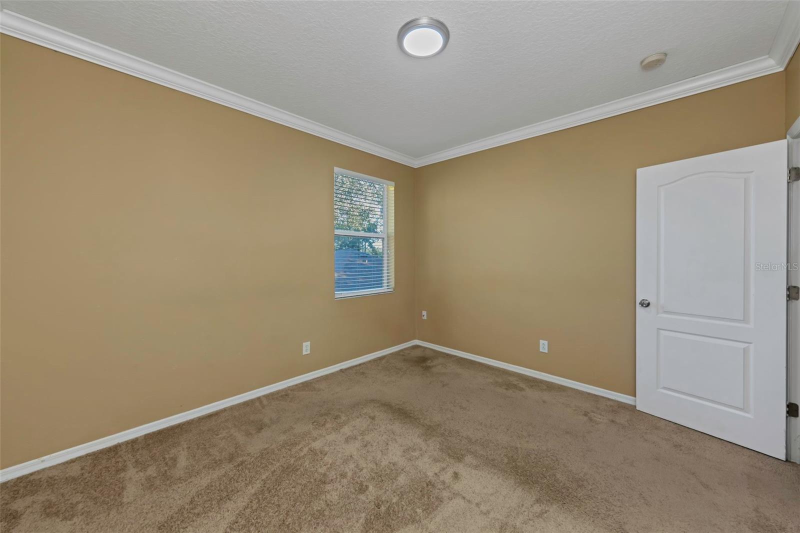 1406 MCCREA DRIVE, Lutz, FL 33549