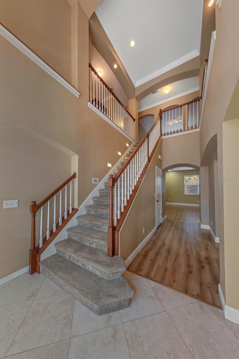 1406 MCCREA DRIVE, Lutz, FL 33549