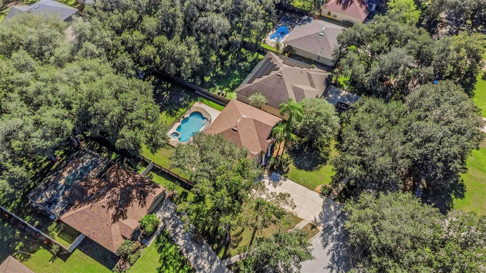 1406 MCCREA DRIVE, Lutz, FL 33549
