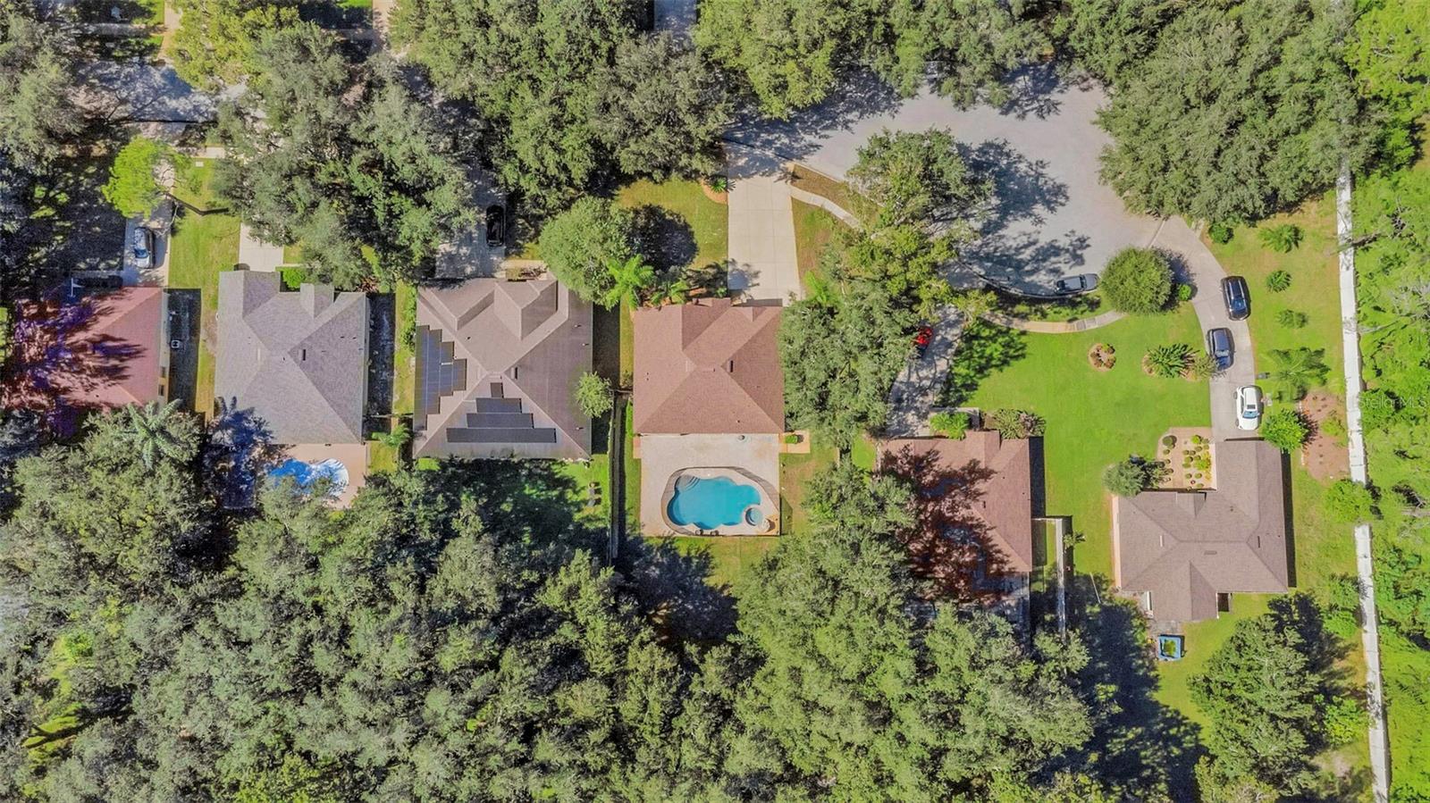 1406 MCCREA DRIVE, Lutz, FL 33549