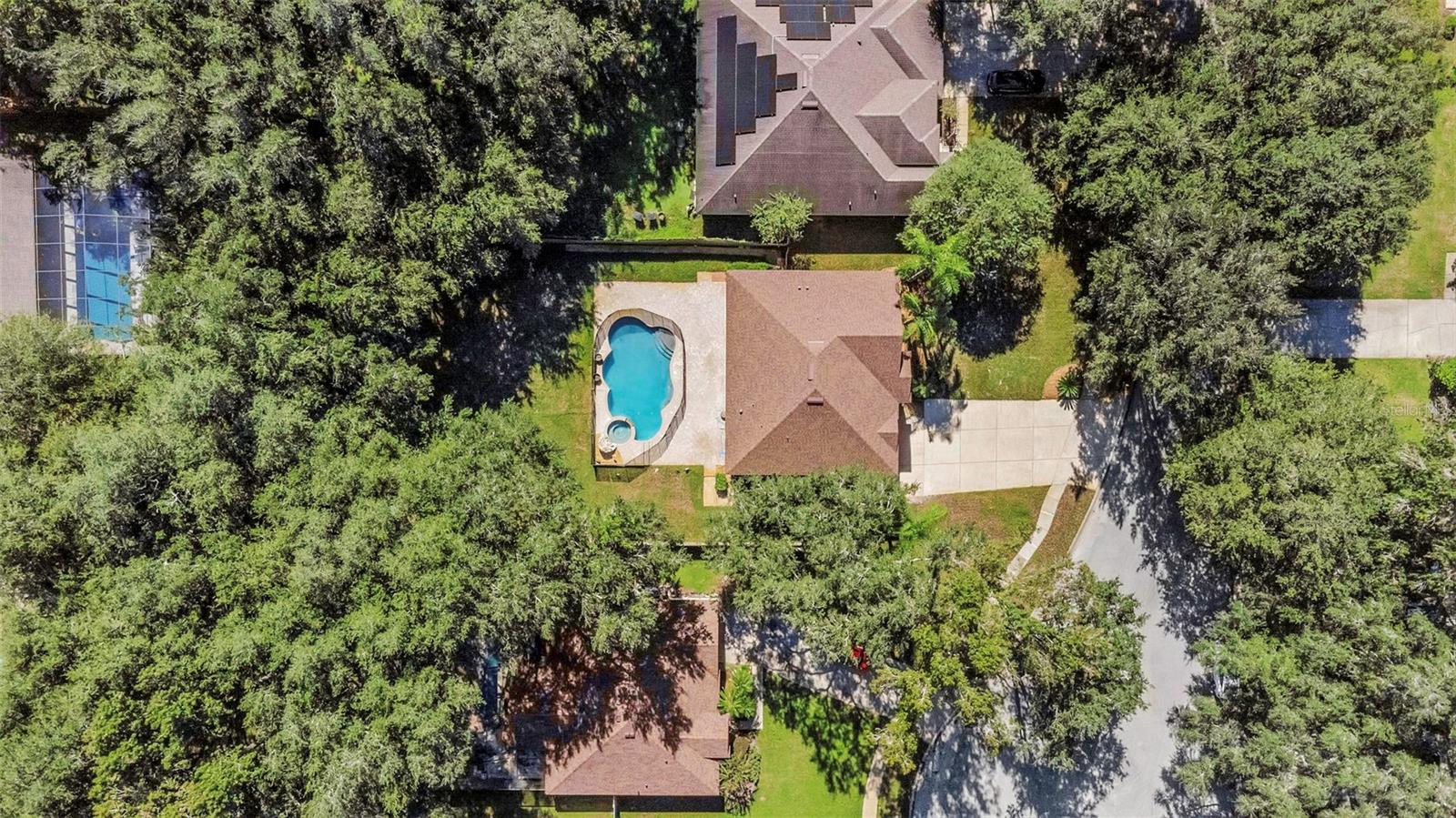 1406 MCCREA DRIVE, Lutz, FL 33549