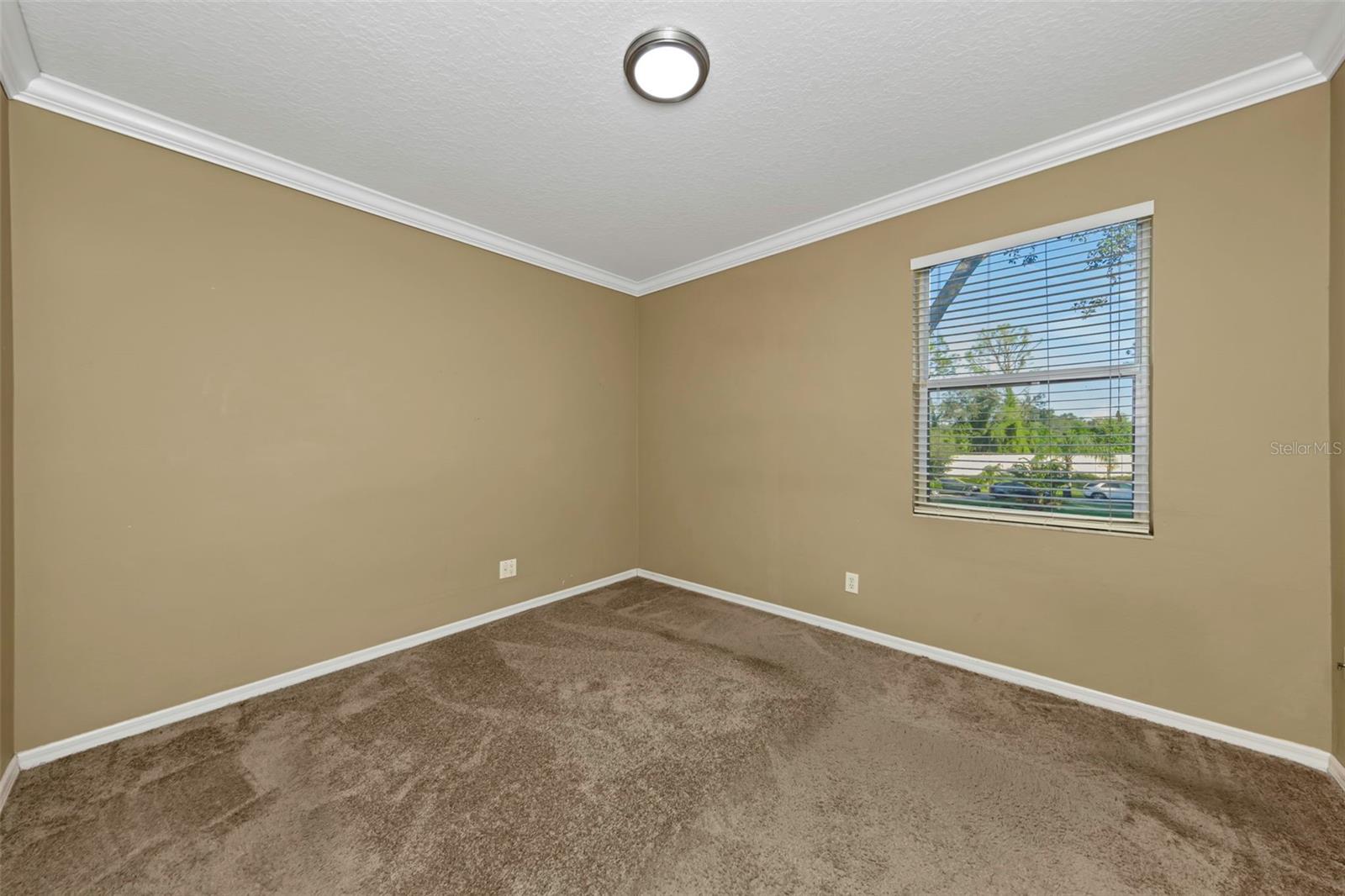 1406 MCCREA DRIVE, Lutz, FL 33549
