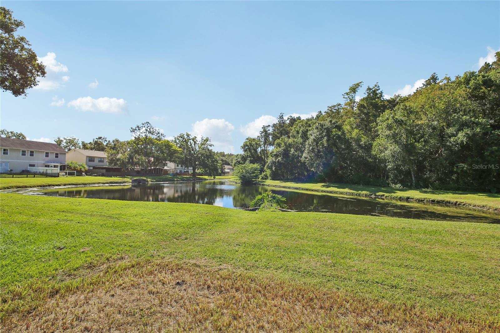 5214 CORVETTE DR, Tampa, FL 33624