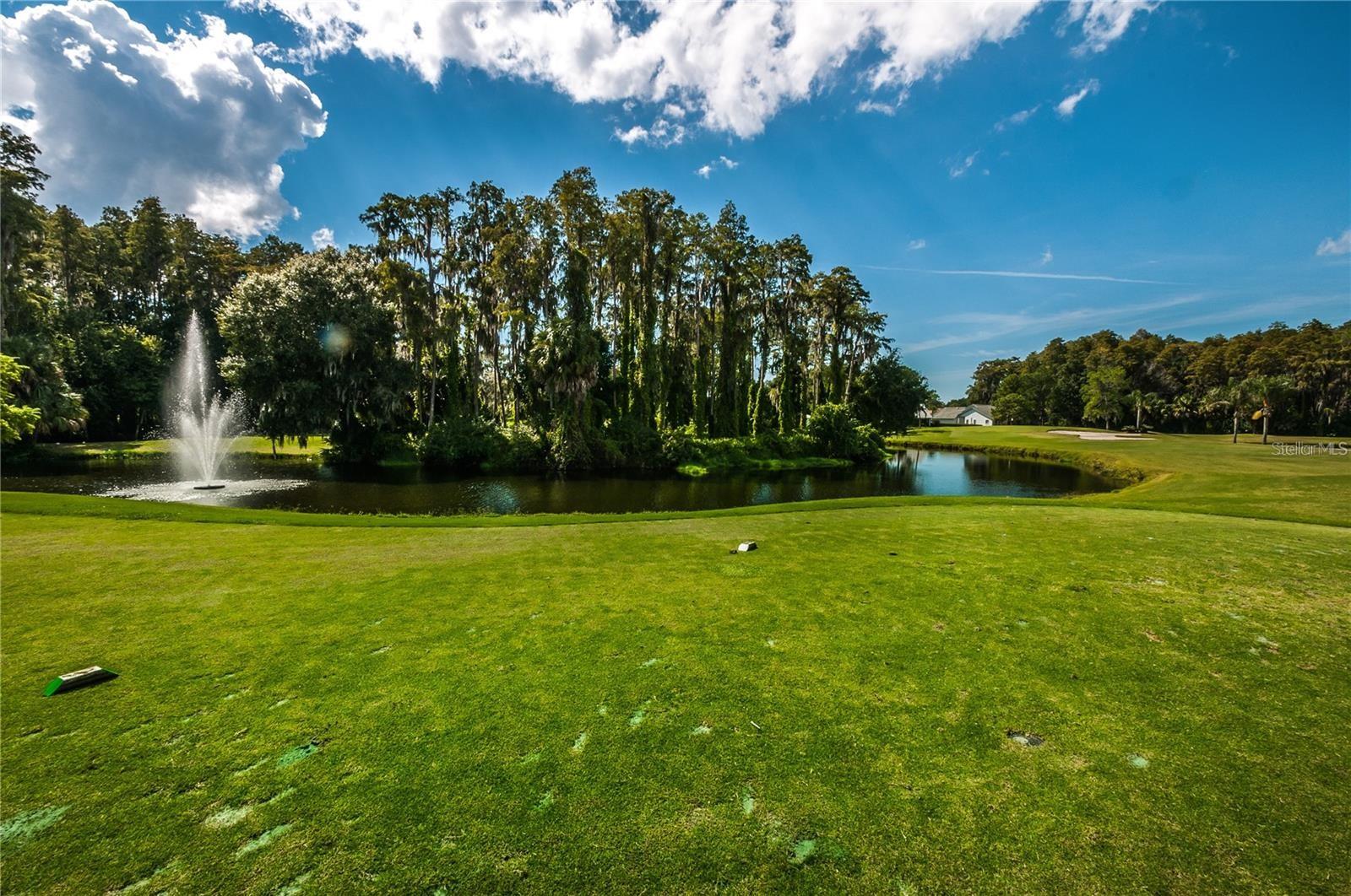 3441 TEESIDE DRIVE, #1, New Port Richey, FL 34655