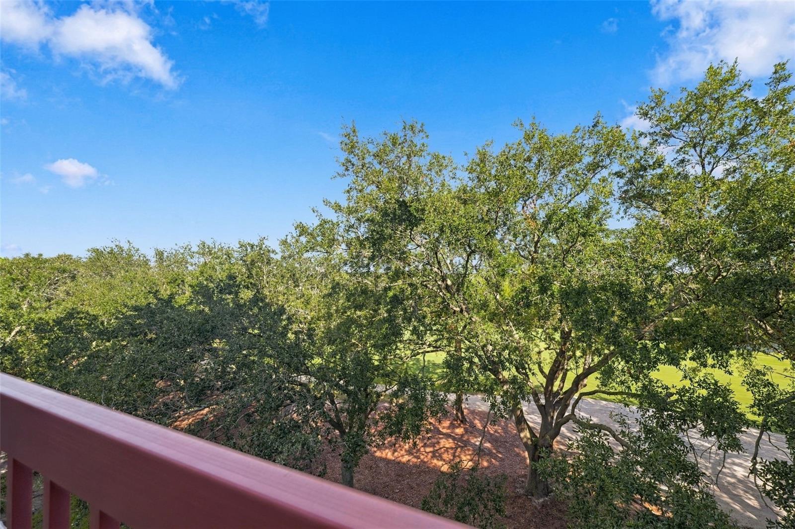 2333 FEATHER SOUND DRIVE, #A401, Clearwater, FL 33762