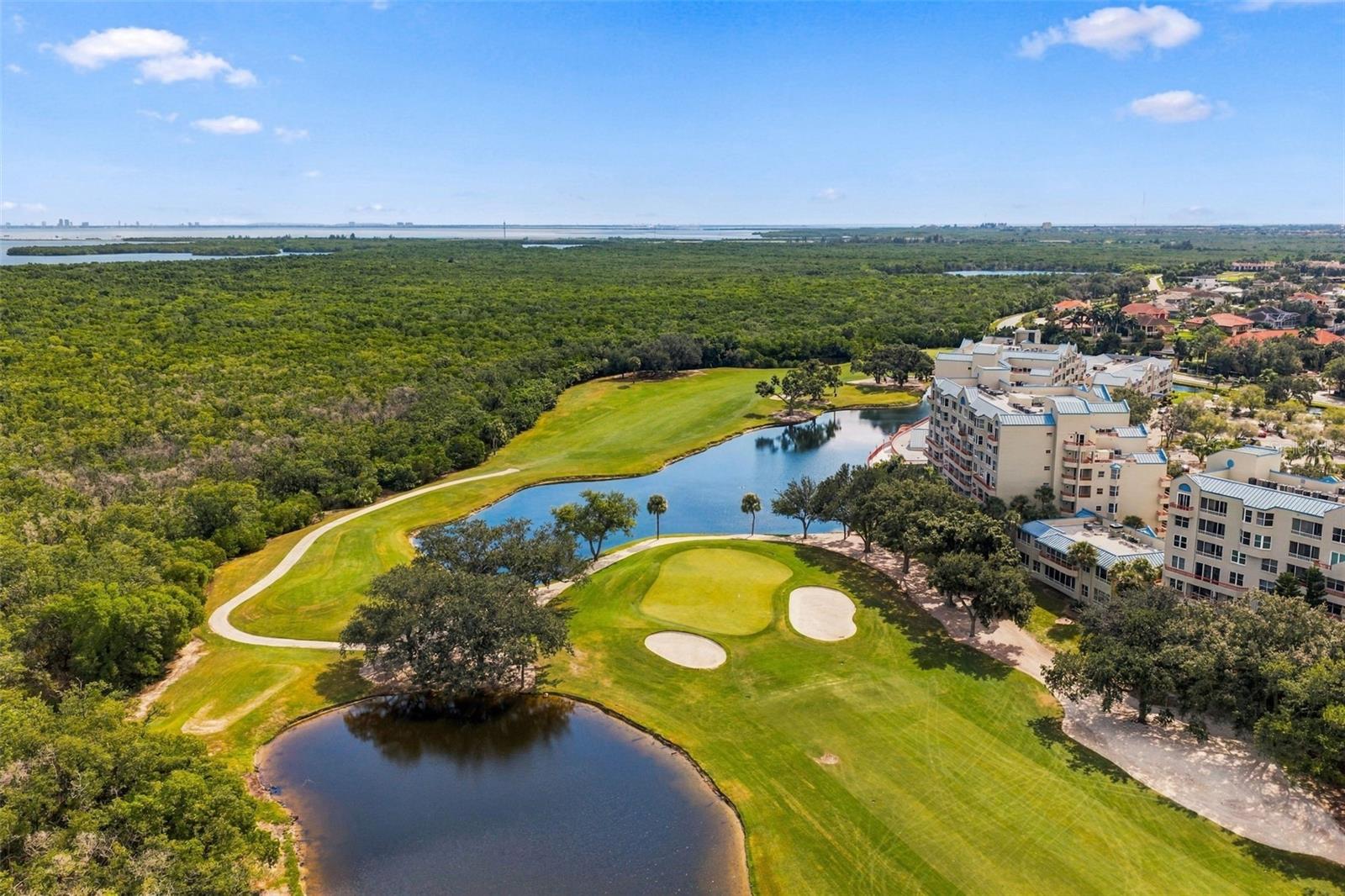 2333 FEATHER SOUND DRIVE, #A401, Clearwater, FL 33762