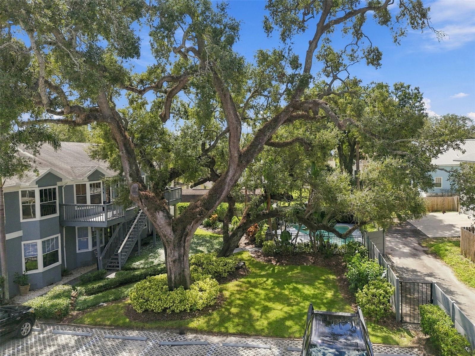 315 S EDISON AVENUE, #8, Tampa, FL 33606