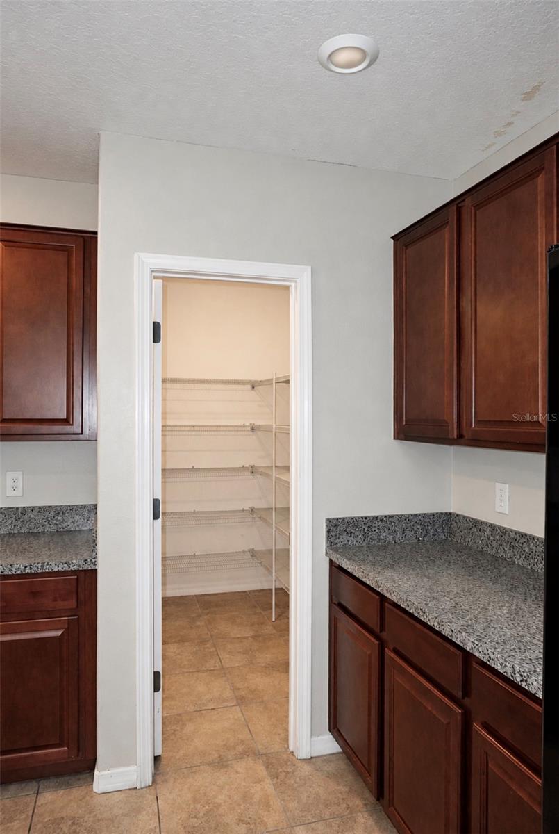 10213 BOGGY MOSS DRIVE, Riverview, FL 33578