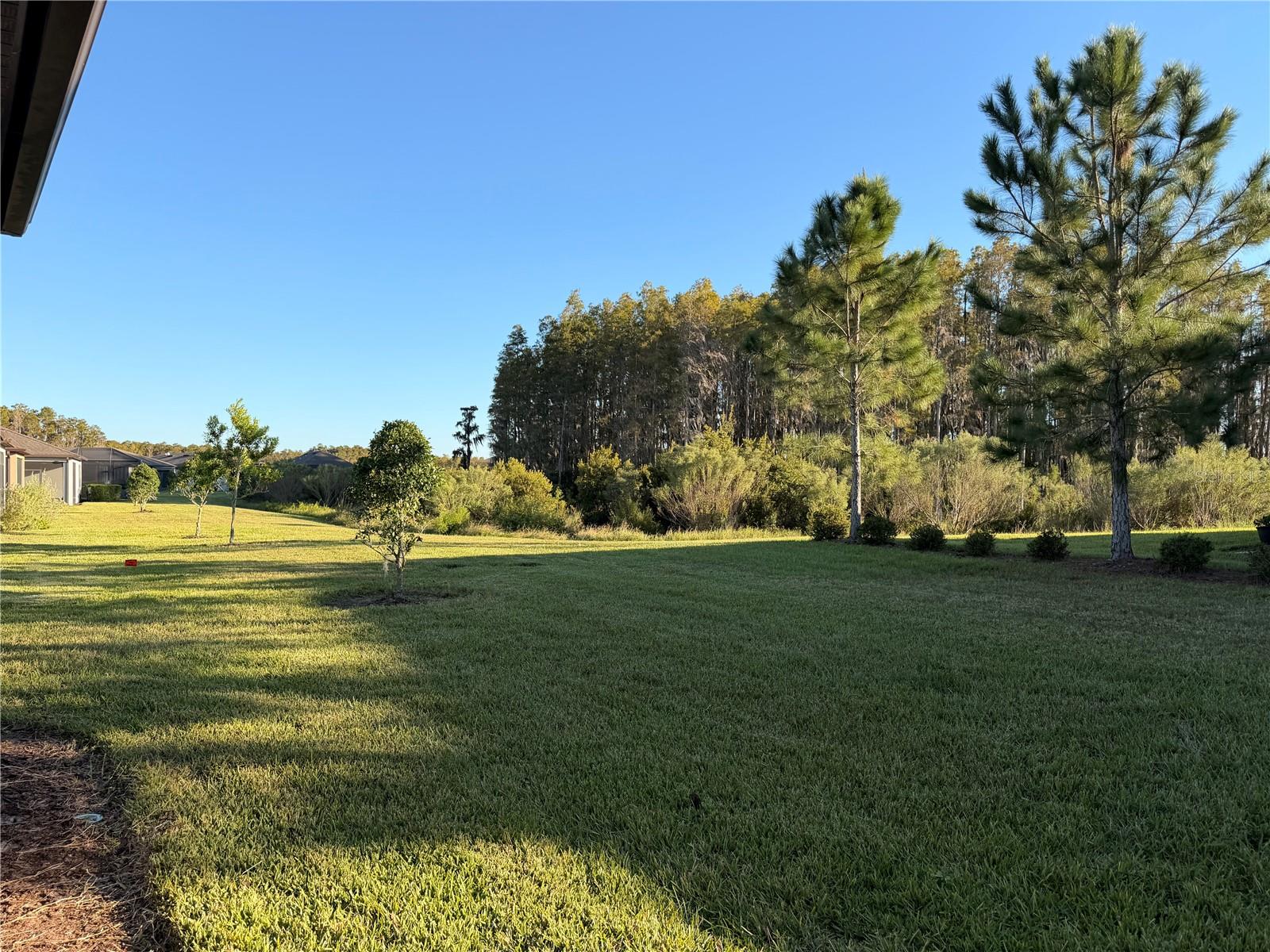 Backs up to Conservation Lot