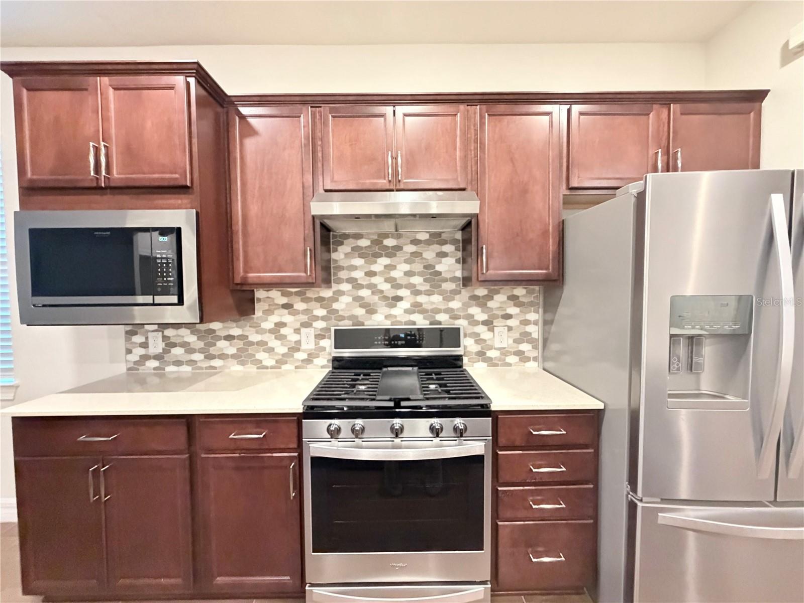 19420 SHIP WHEEL WAY, Land O Lakes, FL 34638