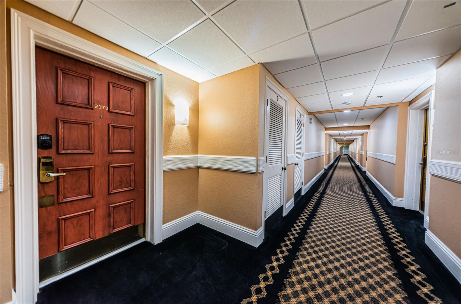 36750 US HIGHWAY 19 N, #3-209, Palm Harbor, FL 34683