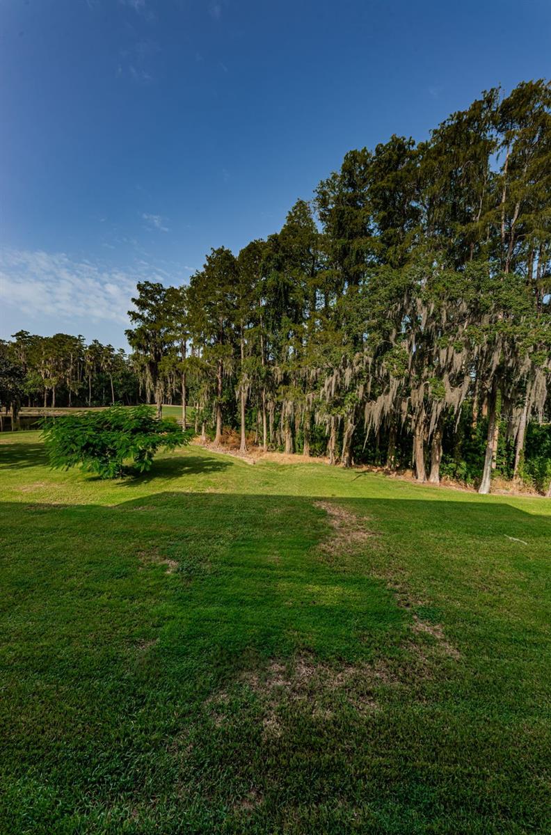 36750 US HIGHWAY 19 N, #3-209, Palm Harbor, FL 34683