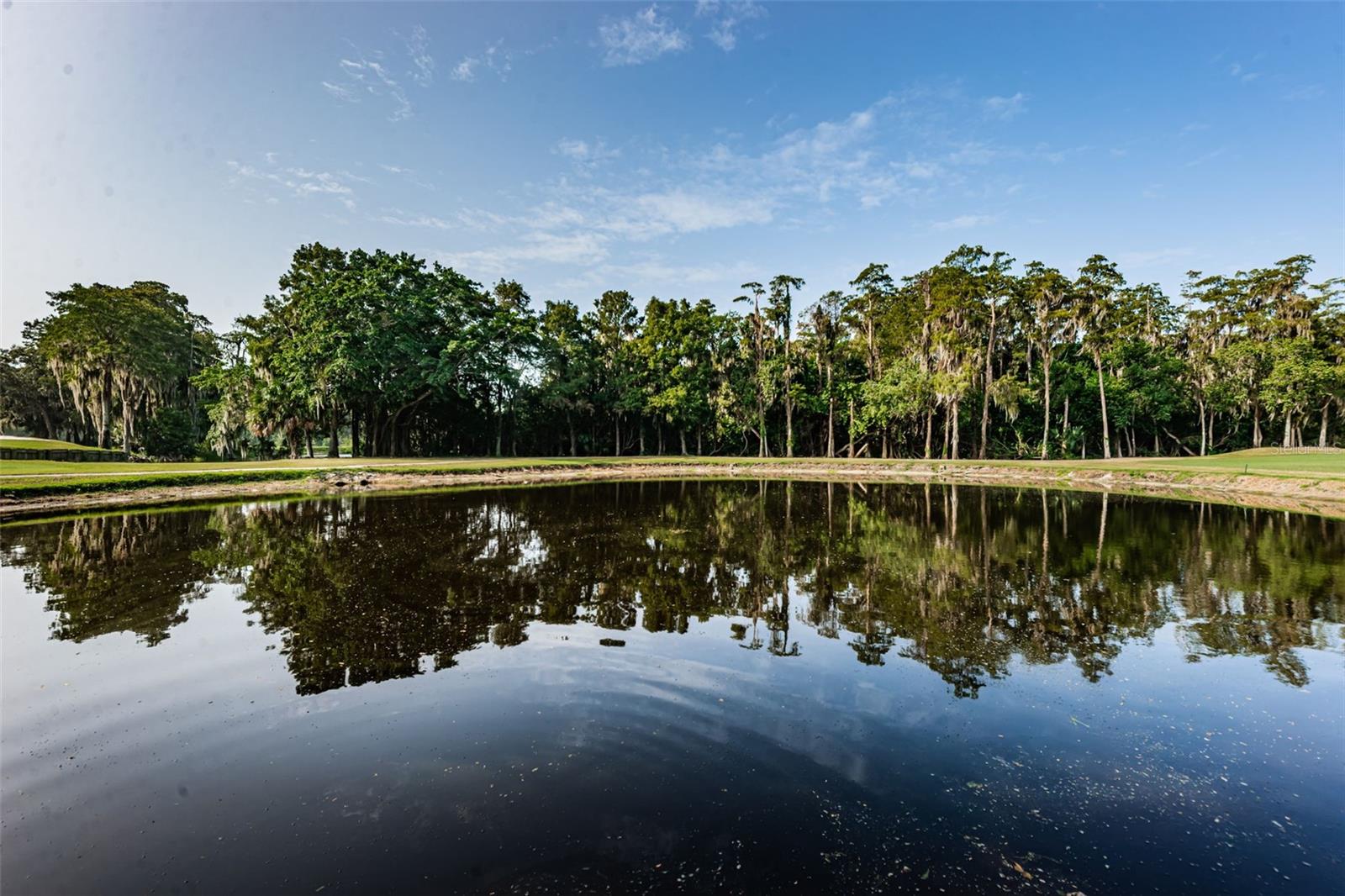 36750 US HIGHWAY 19 N, #3-209, Palm Harbor, FL 34683