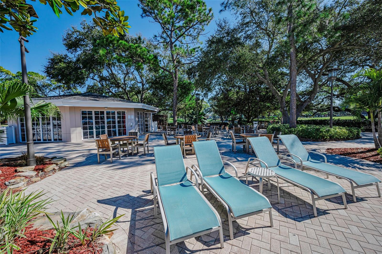 36750 US HIGHWAY 19 N, #3-209, Palm Harbor, FL 34683