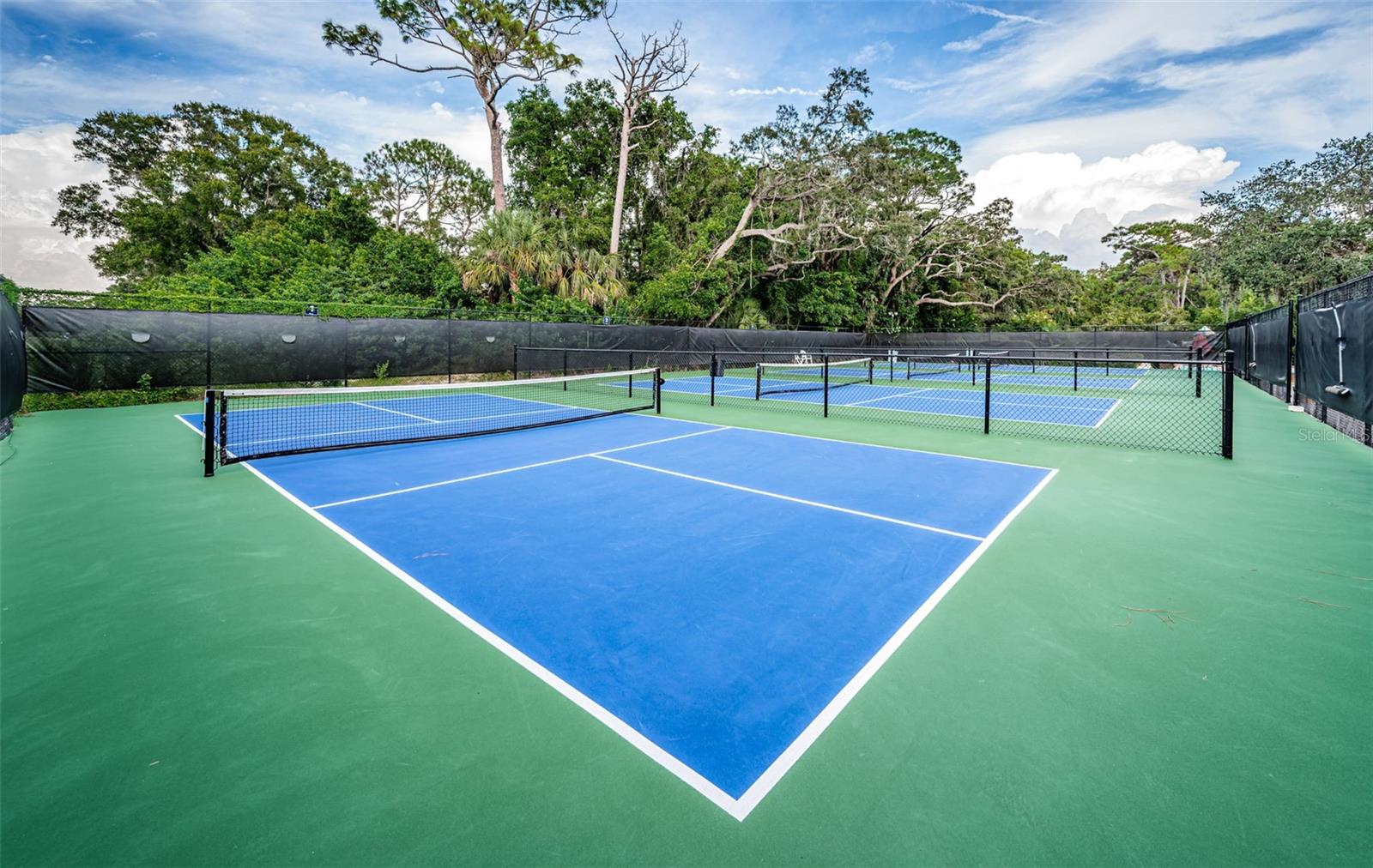 36750 US HIGHWAY 19 N, #3-209, Palm Harbor, FL 34683