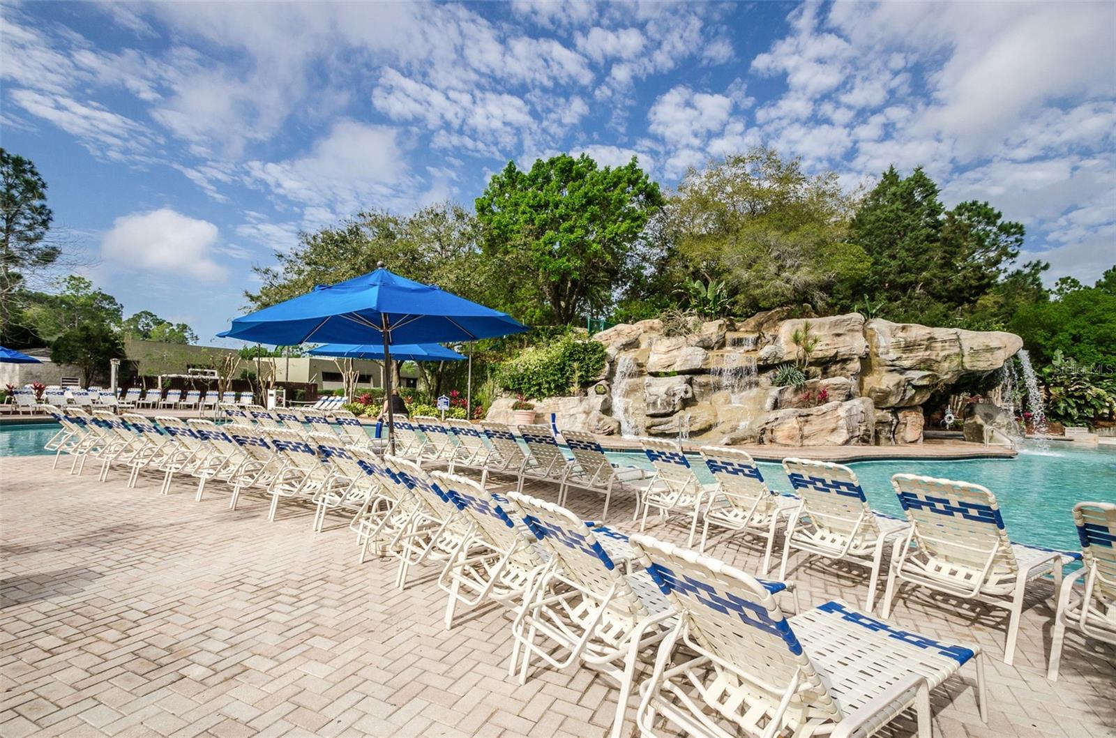36750 US HIGHWAY 19 N, #3-209, Palm Harbor, FL 34683
