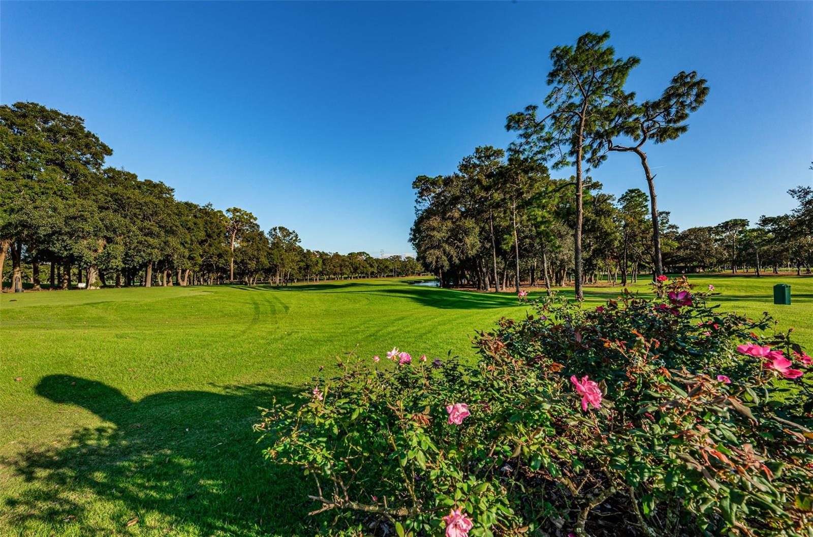 36750 US HIGHWAY 19 N, #3-209, Palm Harbor, FL 34683
