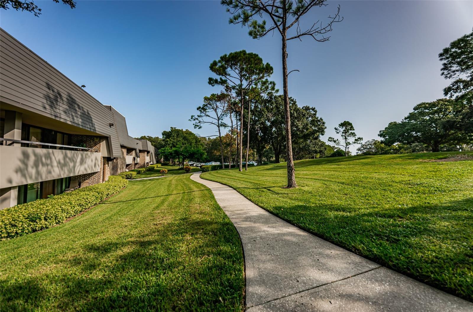 36750 US HIGHWAY 19 N, #3-209, Palm Harbor, FL 34683