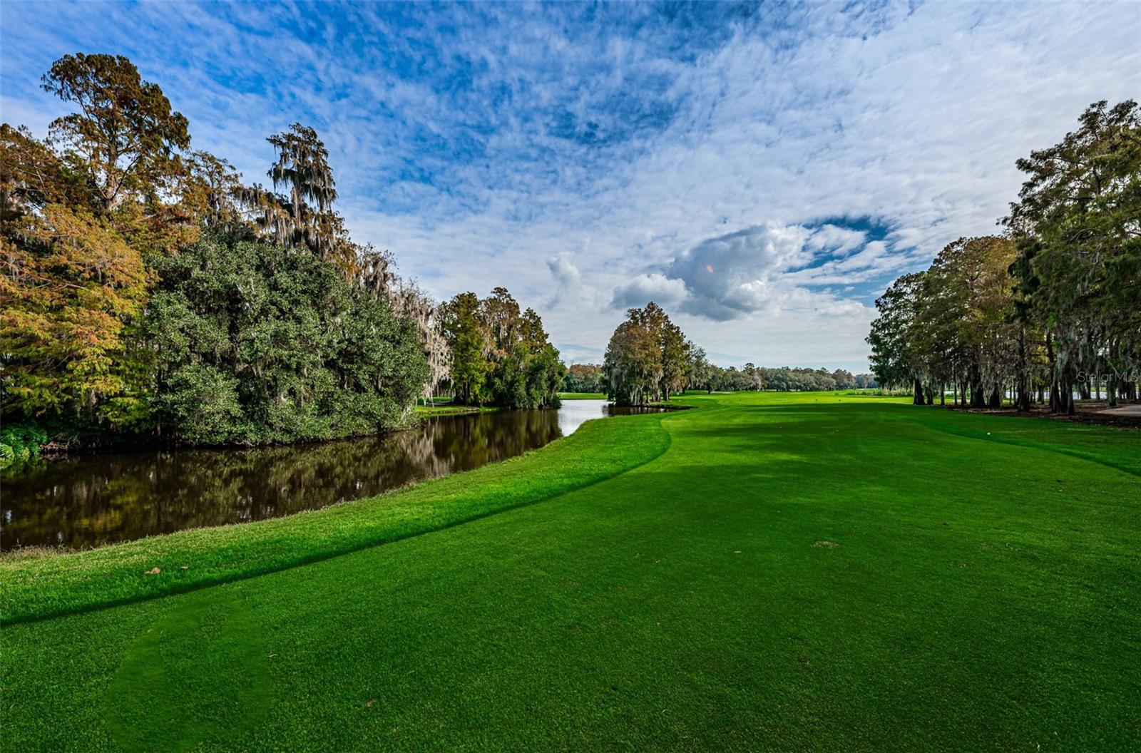 36750 US HIGHWAY 19 N, #3-209, Palm Harbor, FL 34683