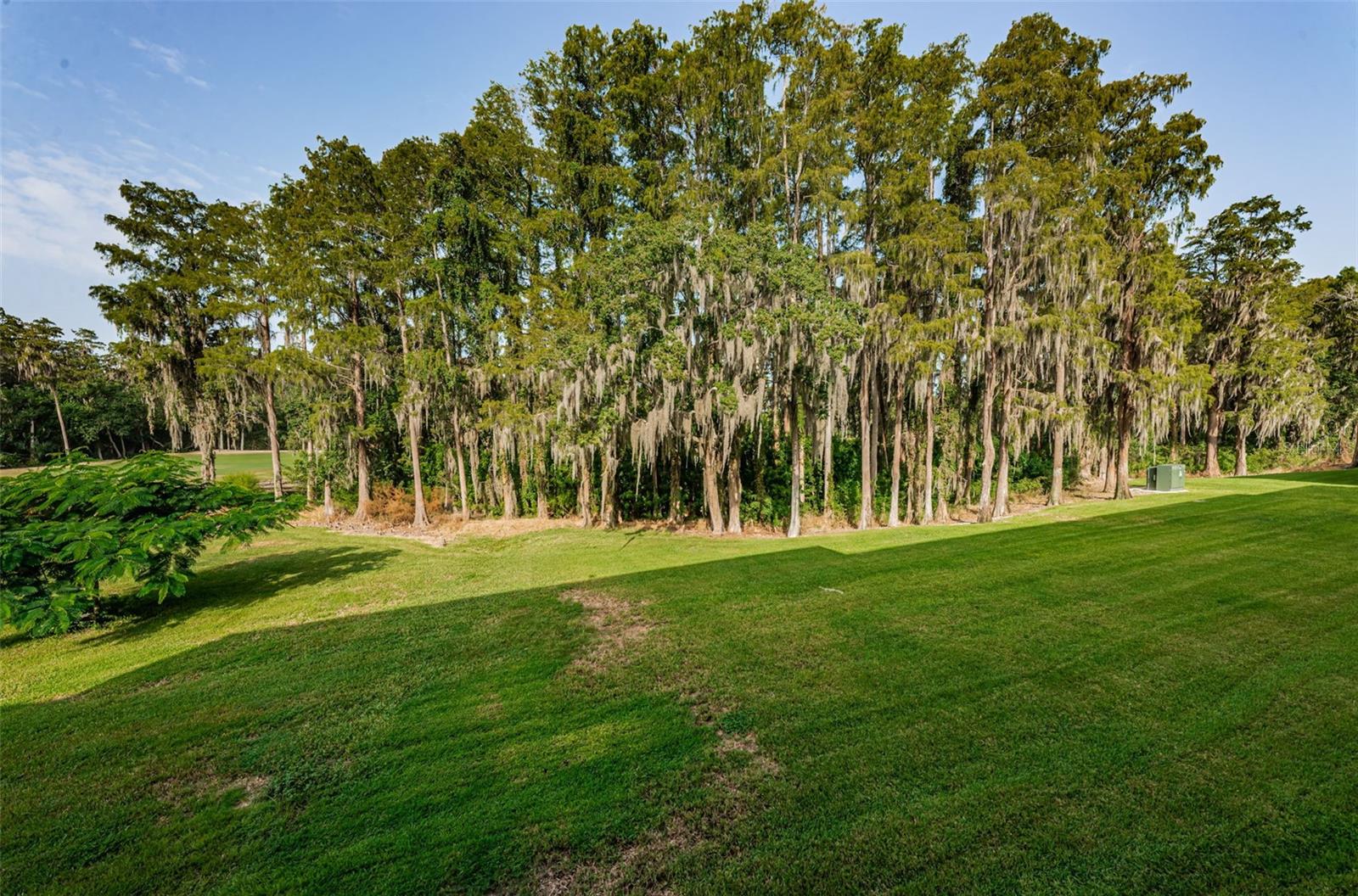 36750 US HIGHWAY 19 N, #3-209, Palm Harbor, FL 34683