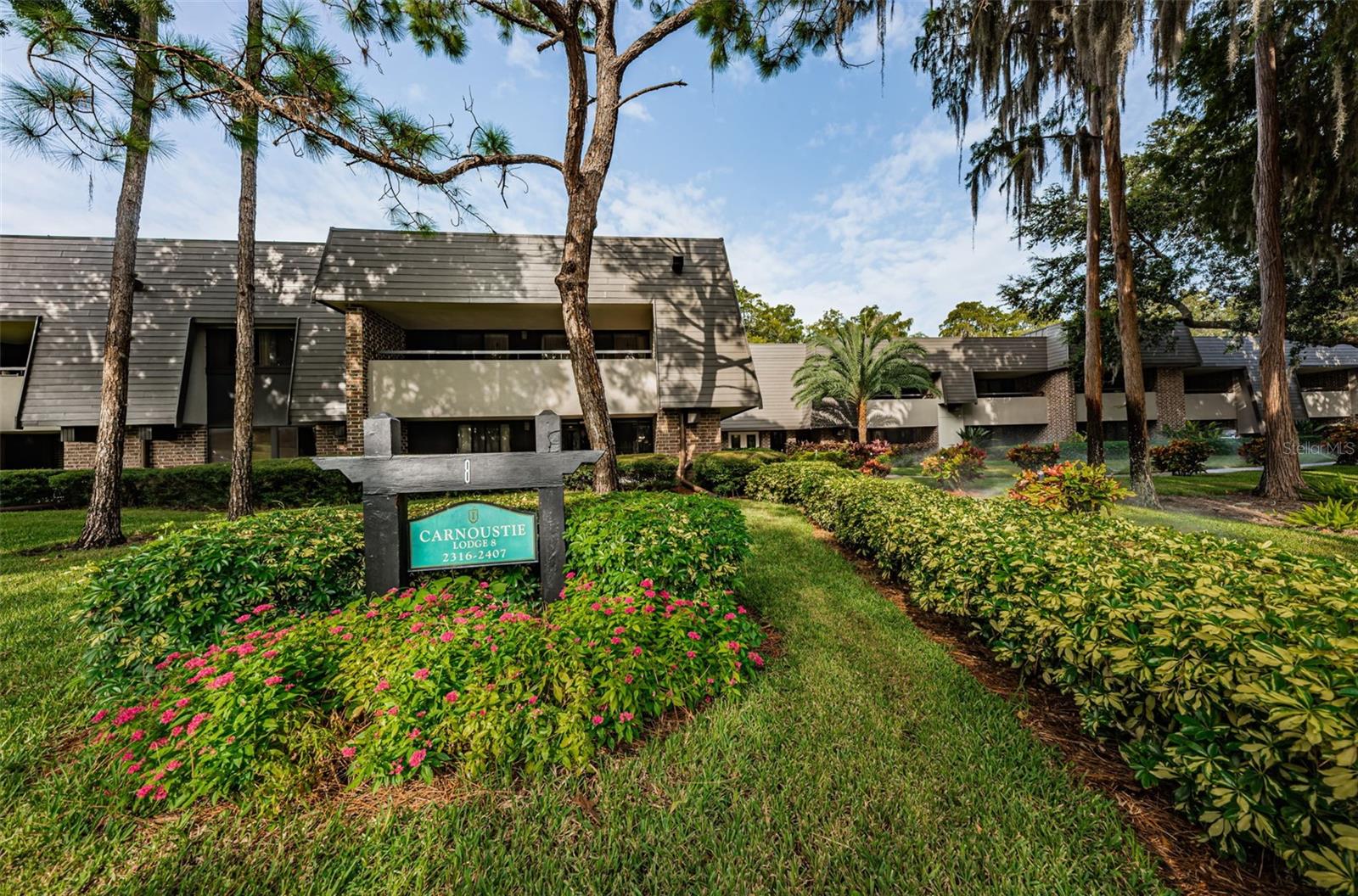 36750 US HIGHWAY 19 N, #3-209, Palm Harbor, FL 34683