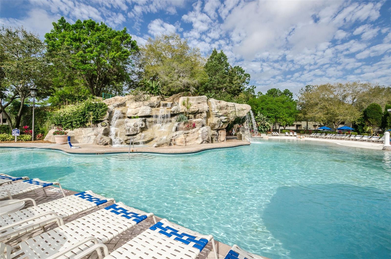 36750 US HIGHWAY 19 N, #3-209, Palm Harbor, FL 34683