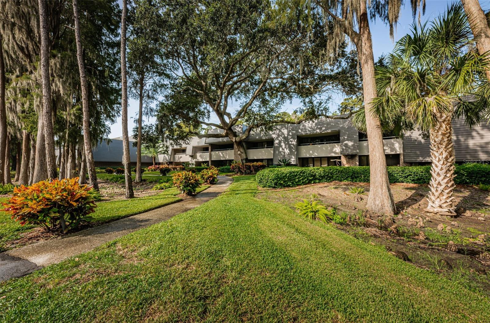 36750 US HIGHWAY 19 N, #3-209, Palm Harbor, FL 34683