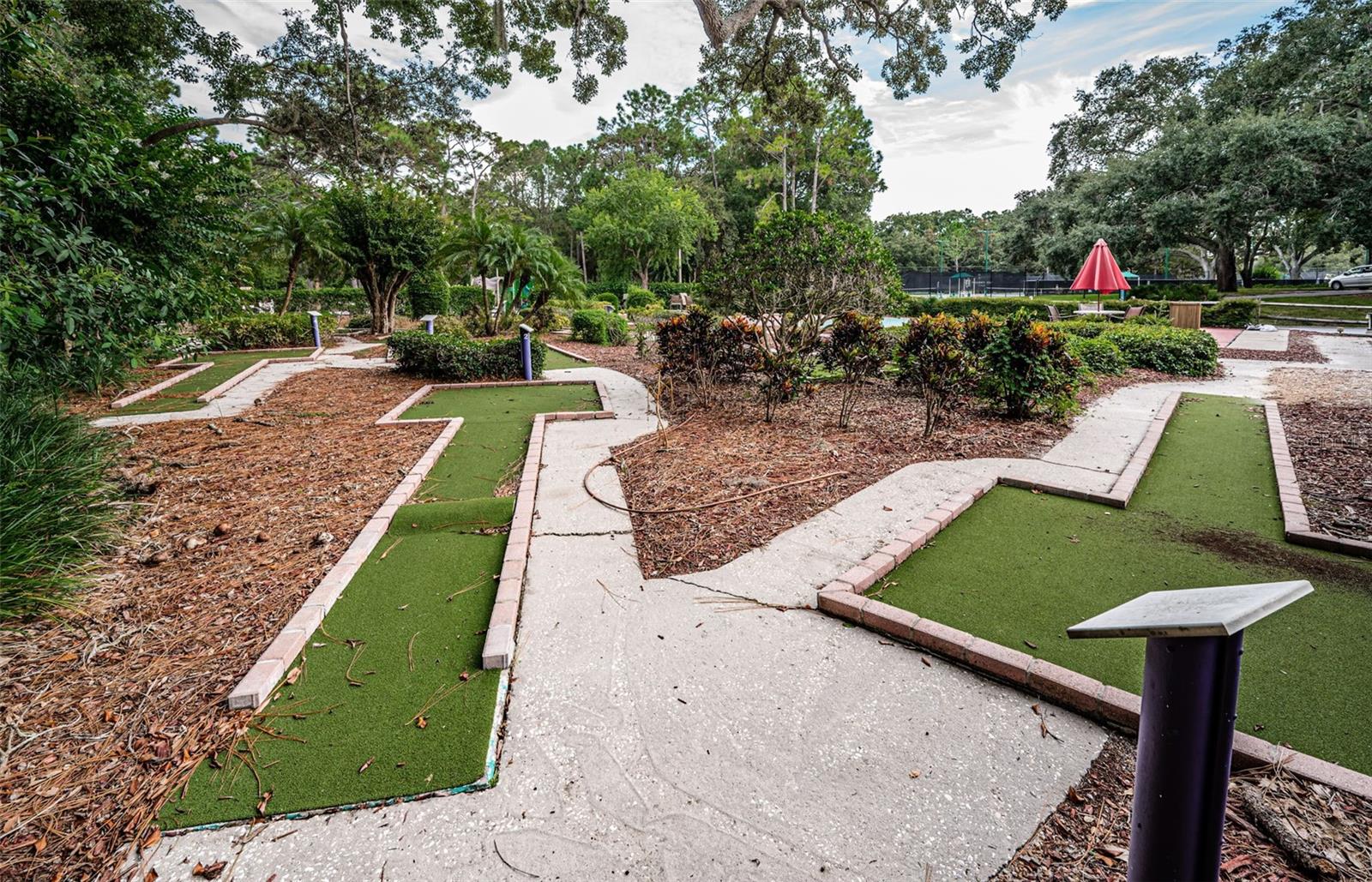 36750 US HIGHWAY 19 N, #3-209, Palm Harbor, FL 34683