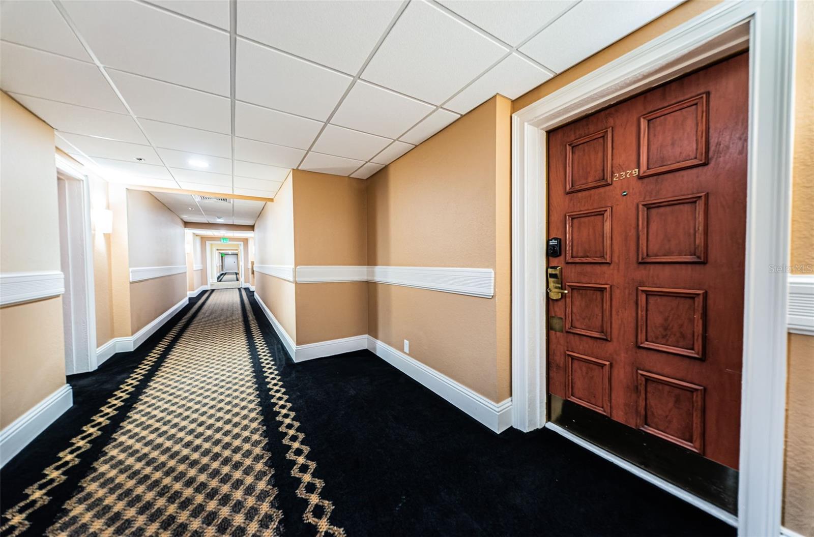 36750 US HIGHWAY 19 N, #3-209, Palm Harbor, FL 34683