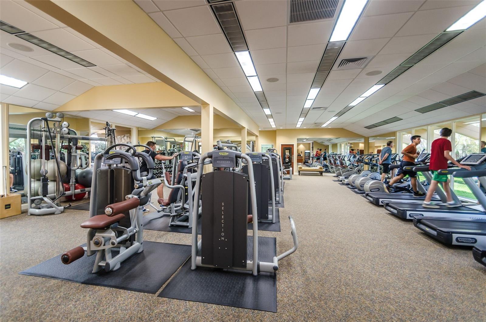 36750 US HIGHWAY 19 N, #3-209, Palm Harbor, FL 34683