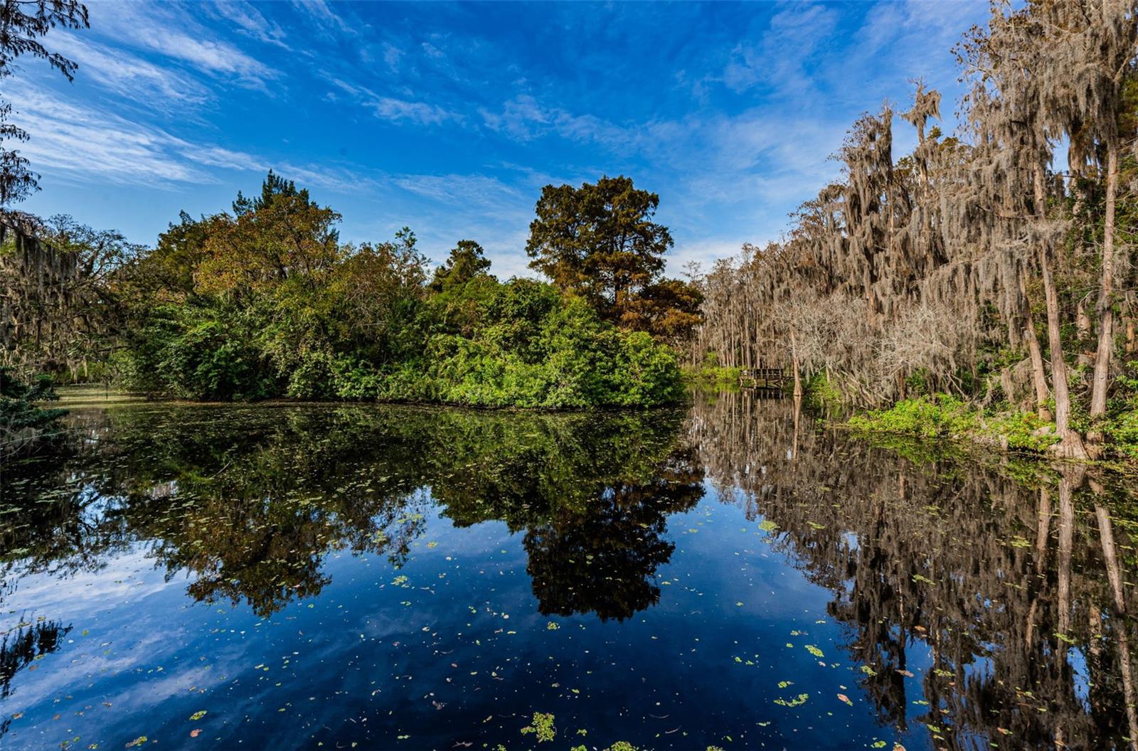 36750 US HIGHWAY 19 N, #3-209, Palm Harbor, FL 34683