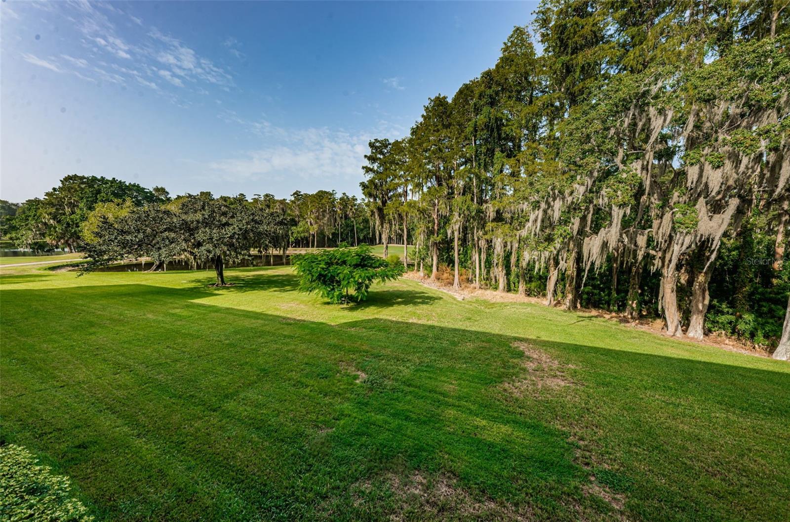 36750 US HIGHWAY 19 N, #3-209, Palm Harbor, FL 34683