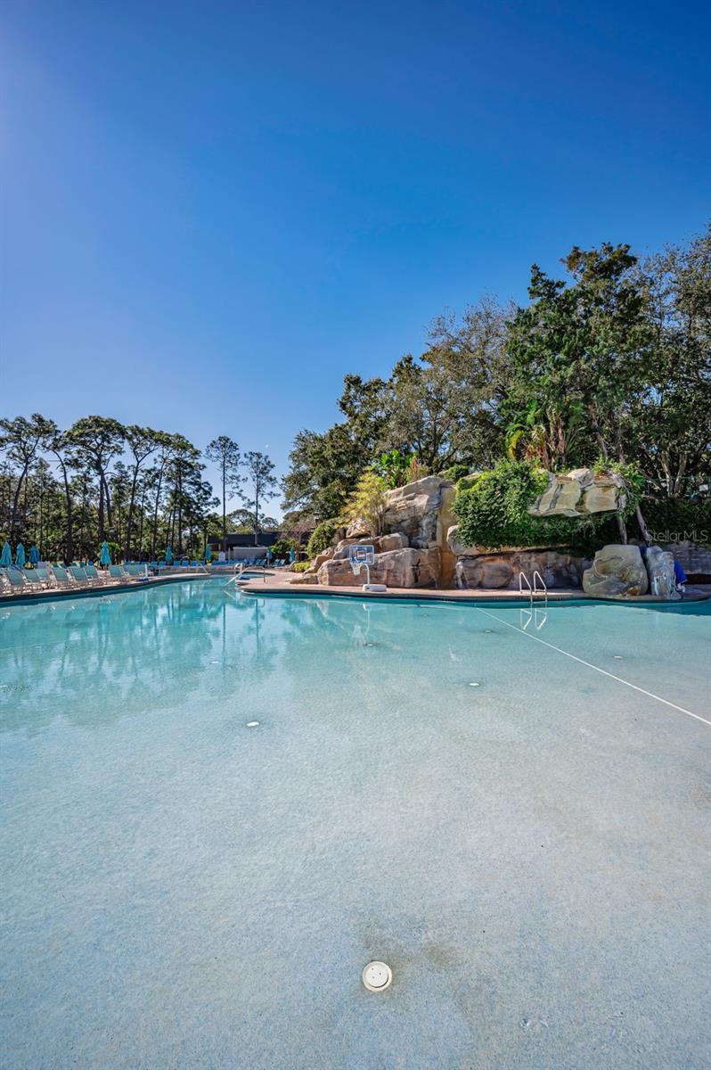 36750 US HIGHWAY 19 N, #3-209, Palm Harbor, FL 34683
