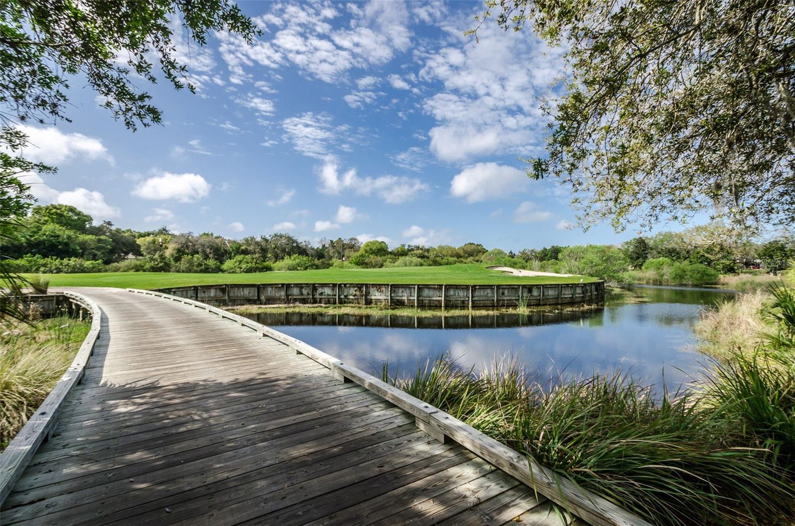 36750 US HIGHWAY 19 N, #3-209, Palm Harbor, FL 34683