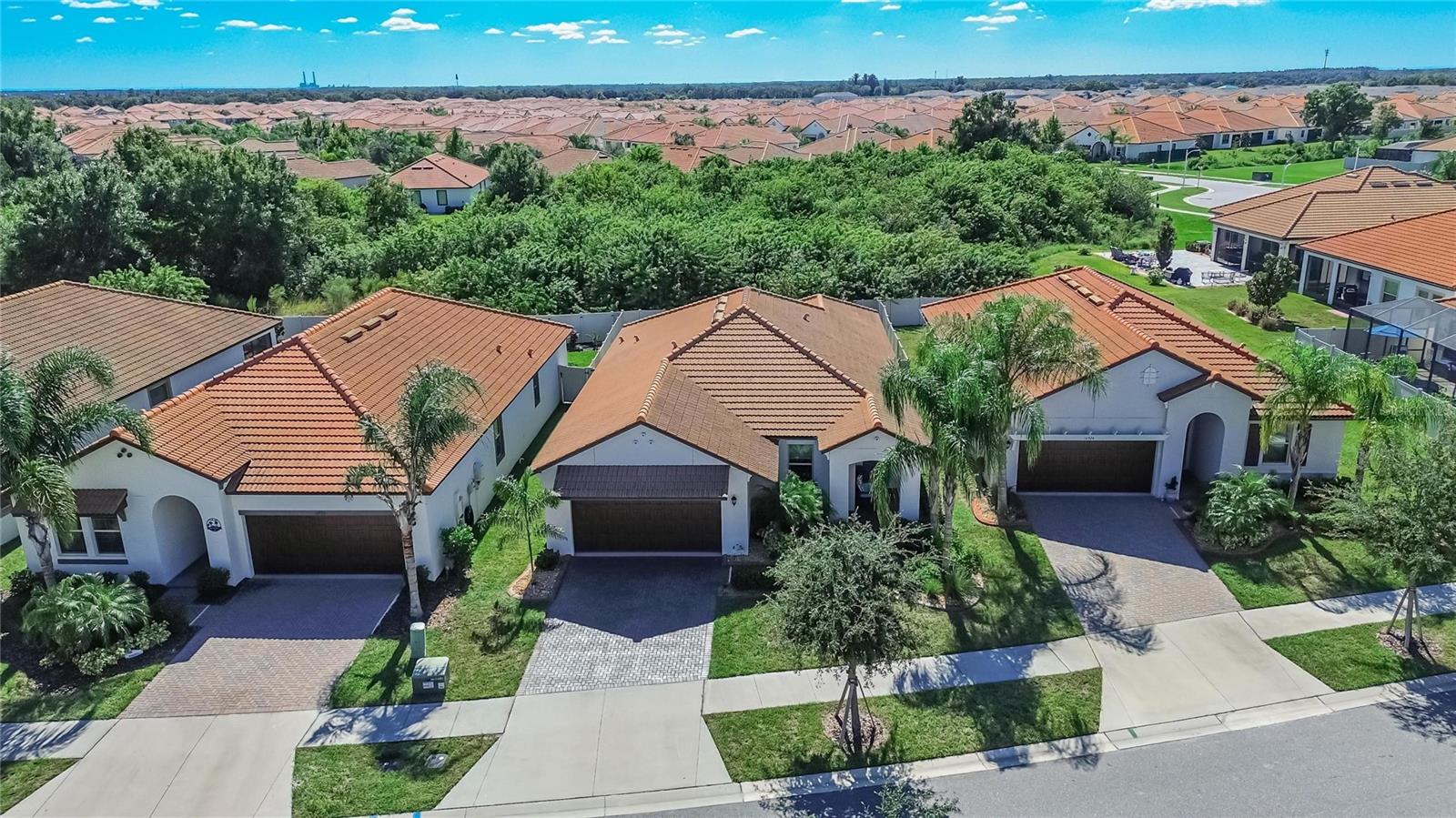 16922 ANCHOR ROOT STREET, Wimauma, FL 33598