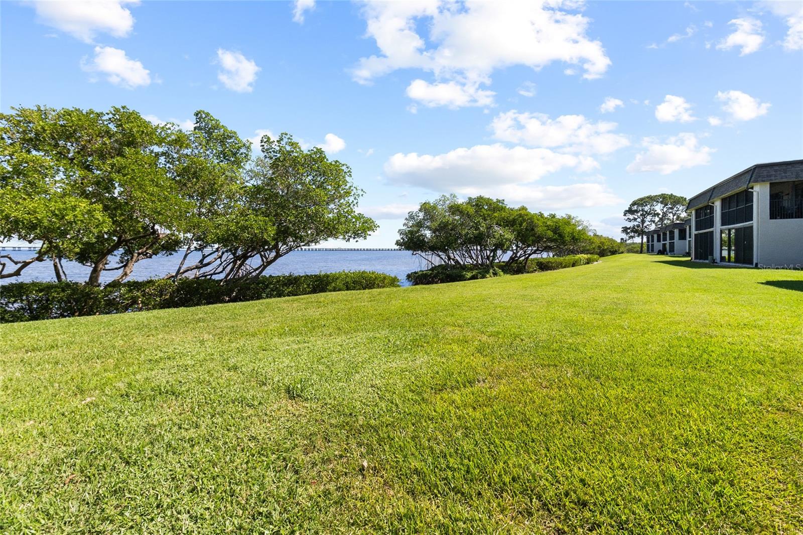 View of mangroves from back yard
