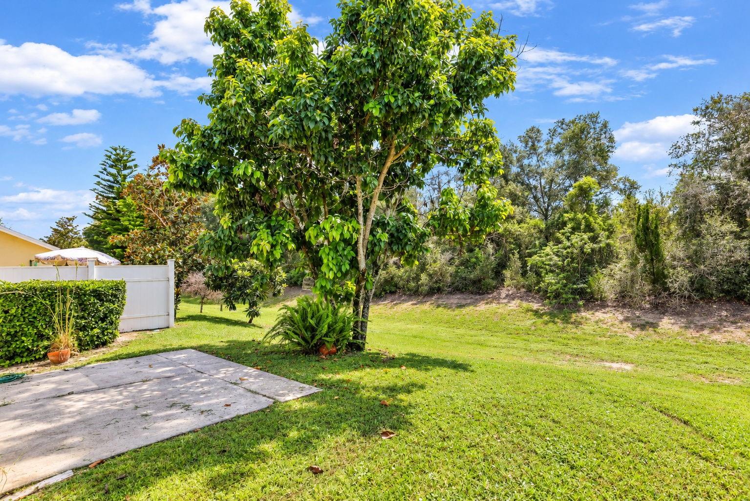 8524 CORINTHIAN WAY, New Port Richey, FL 34654