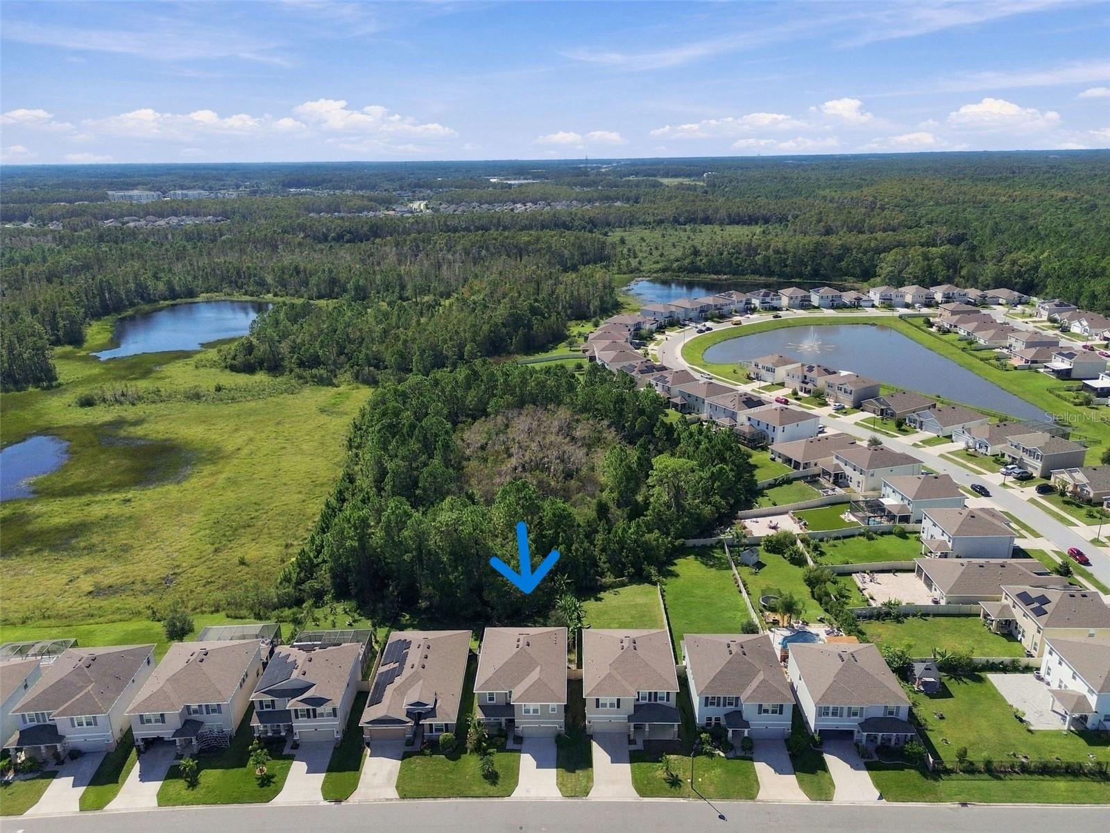3221 LIVING CORAL DRIVE, Odessa, FL 33556