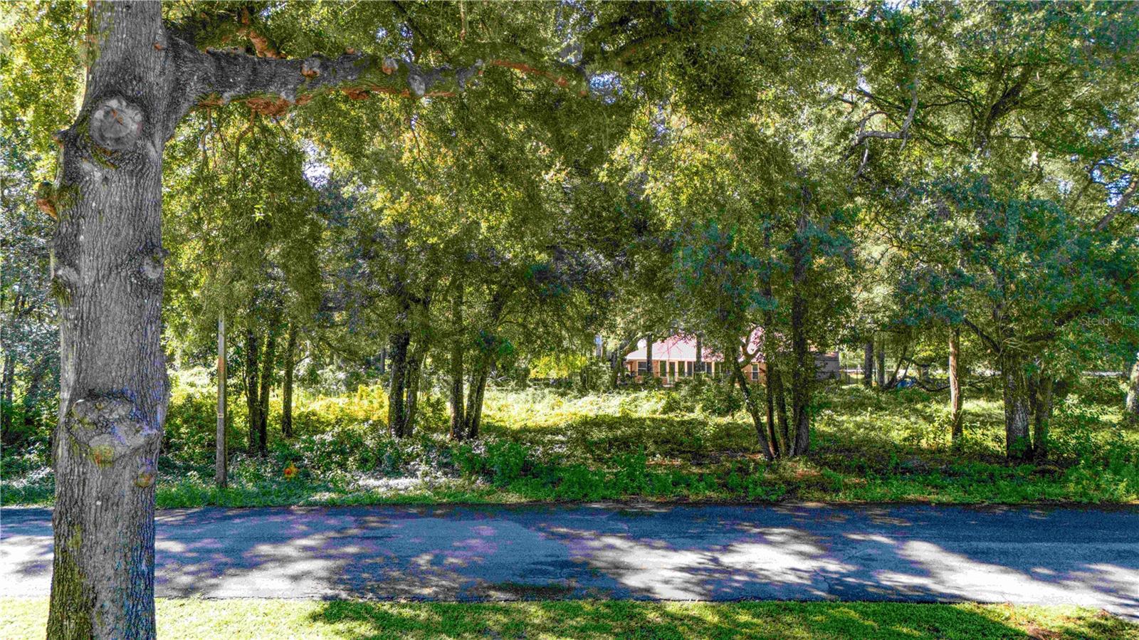 00 DIPLOMAT STREET, Dade City, FL 33523
