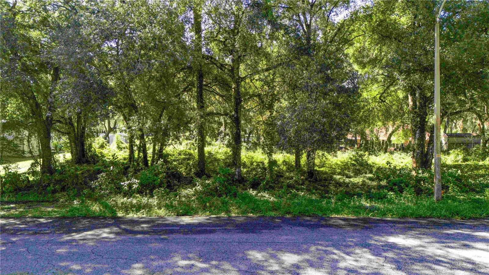 0 DIPLOMAT STREET, Dade City, FL 33523