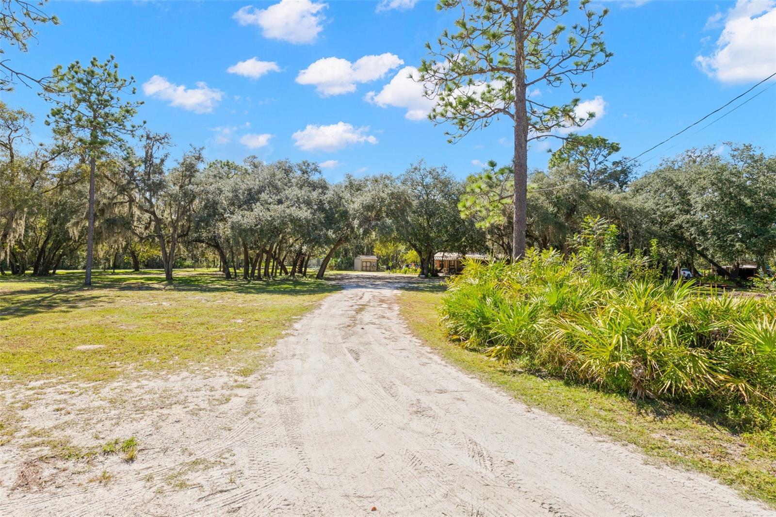 Driveway