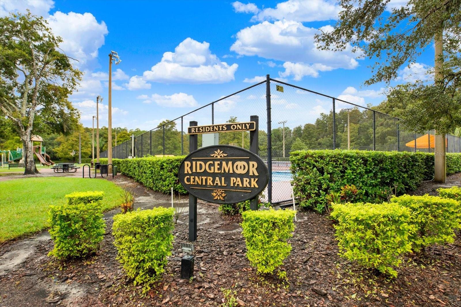 3433 HILLMOOR DRIVE, Palm Harbor, FL 34685