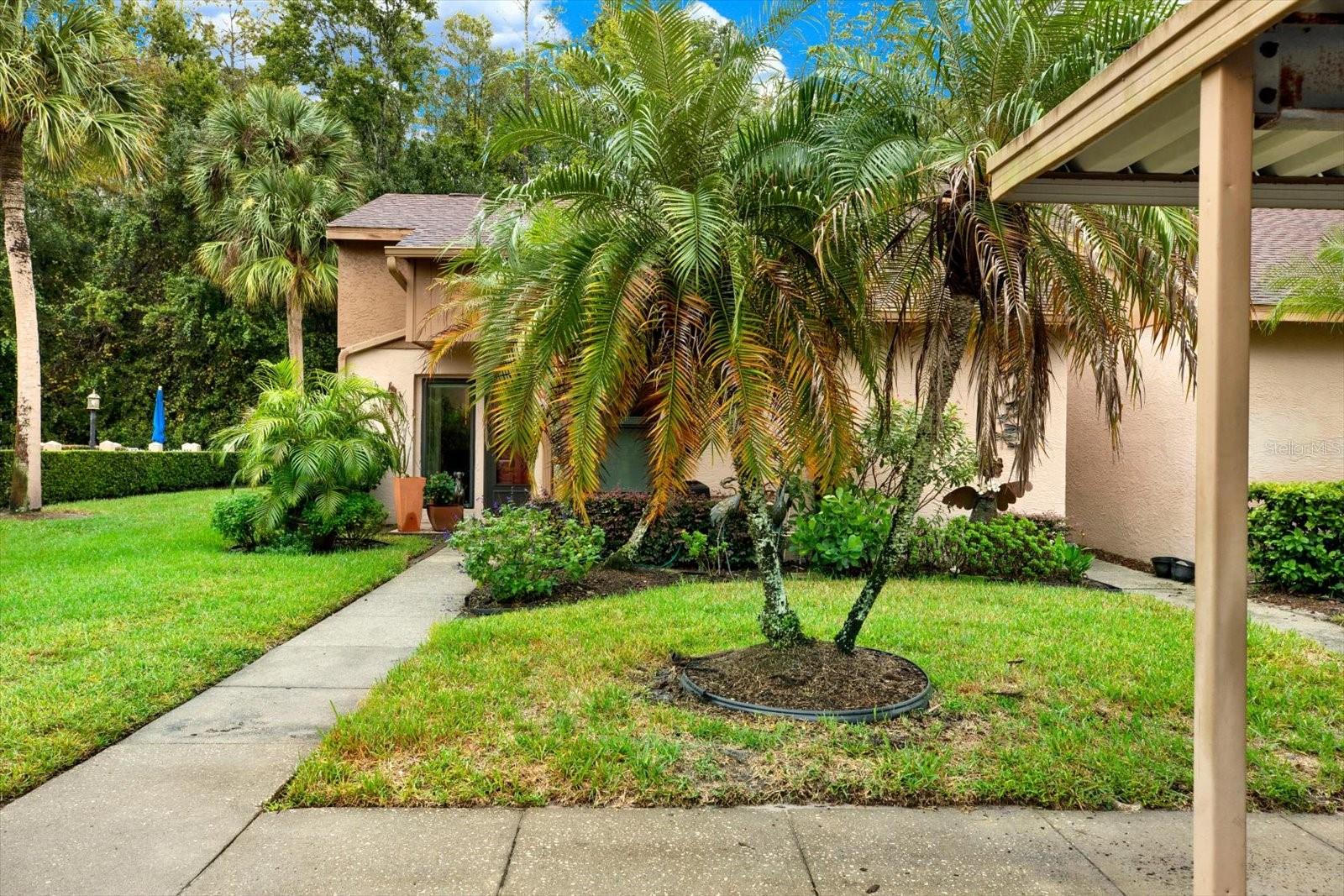 3433 HILLMOOR DRIVE, Palm Harbor, FL 34685
