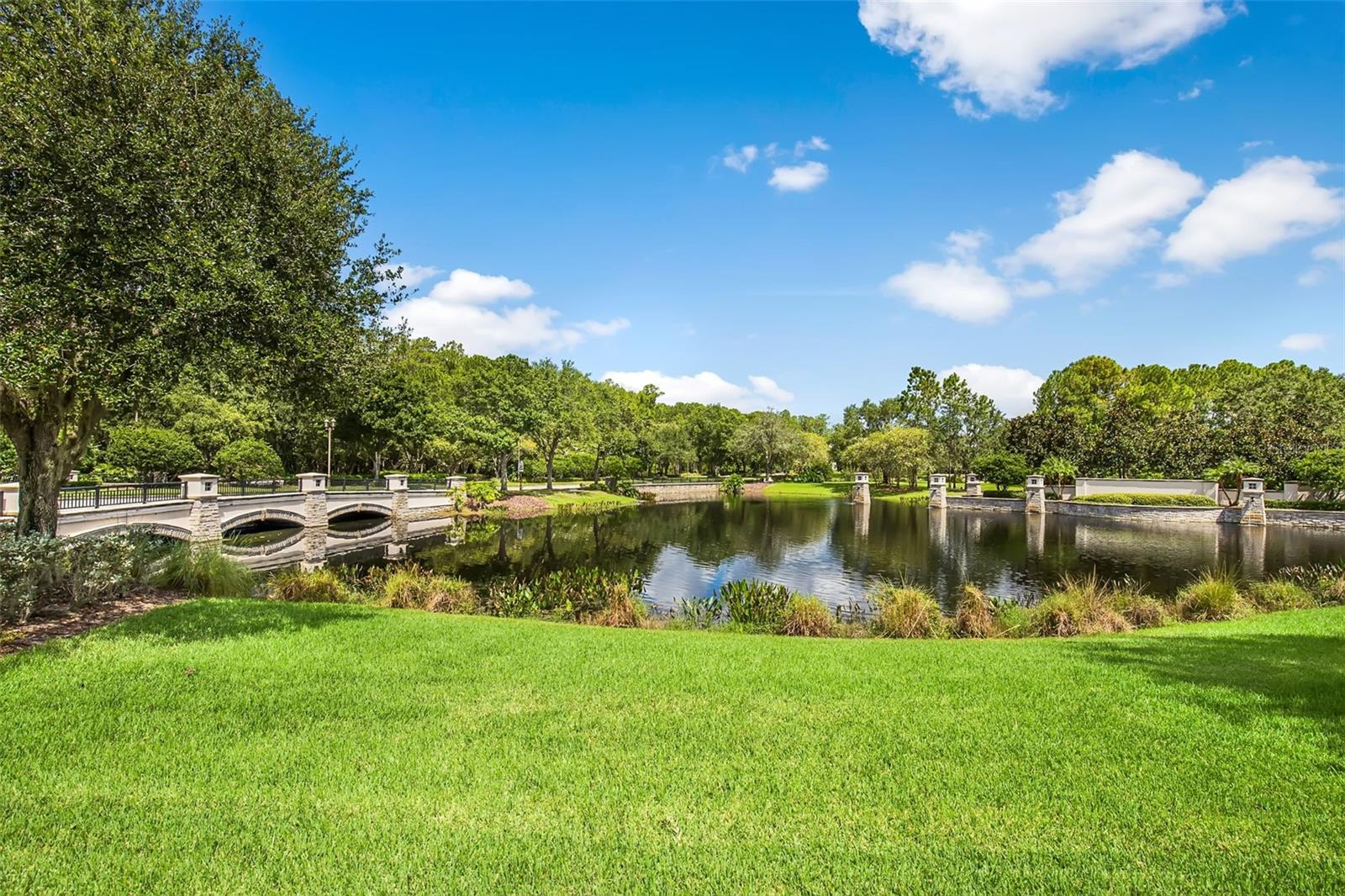 14454 MIRABELLE VISTA CIRCLE, Tampa, FL 33626