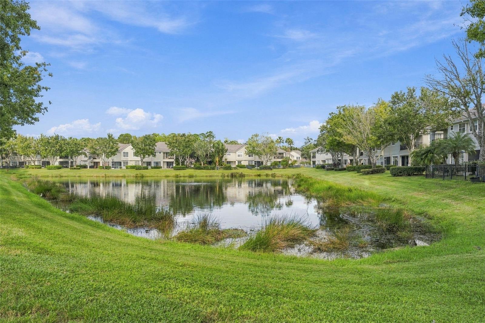 Rear Lawn View