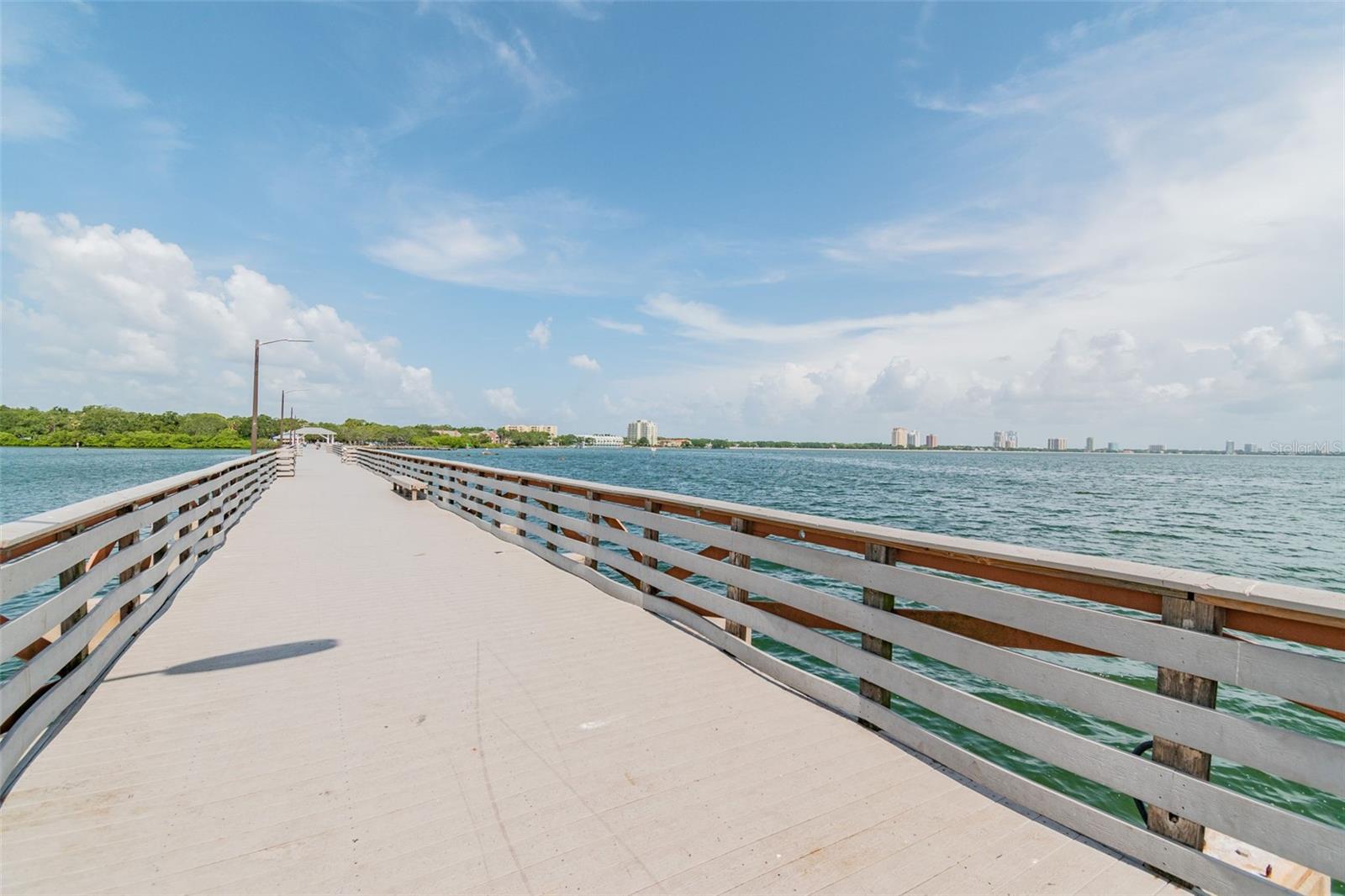 3016 W BALLAST POINT BOULEVARD, Tampa, FL 33611