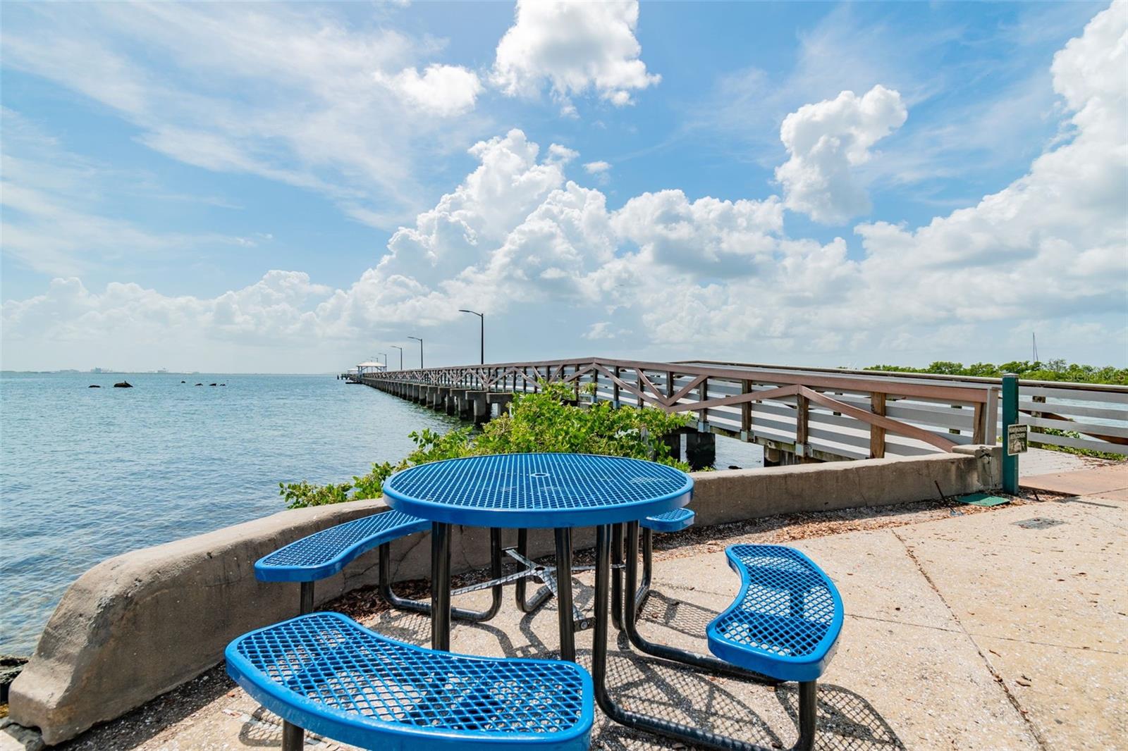 3016 W BALLAST POINT BOULEVARD, Tampa, FL 33611