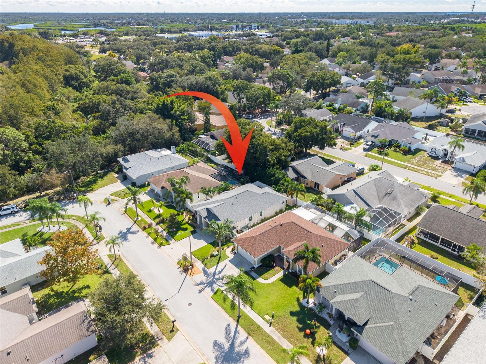 724 SANDY HILLS AVENUE, Tarpon Springs, FL 34689