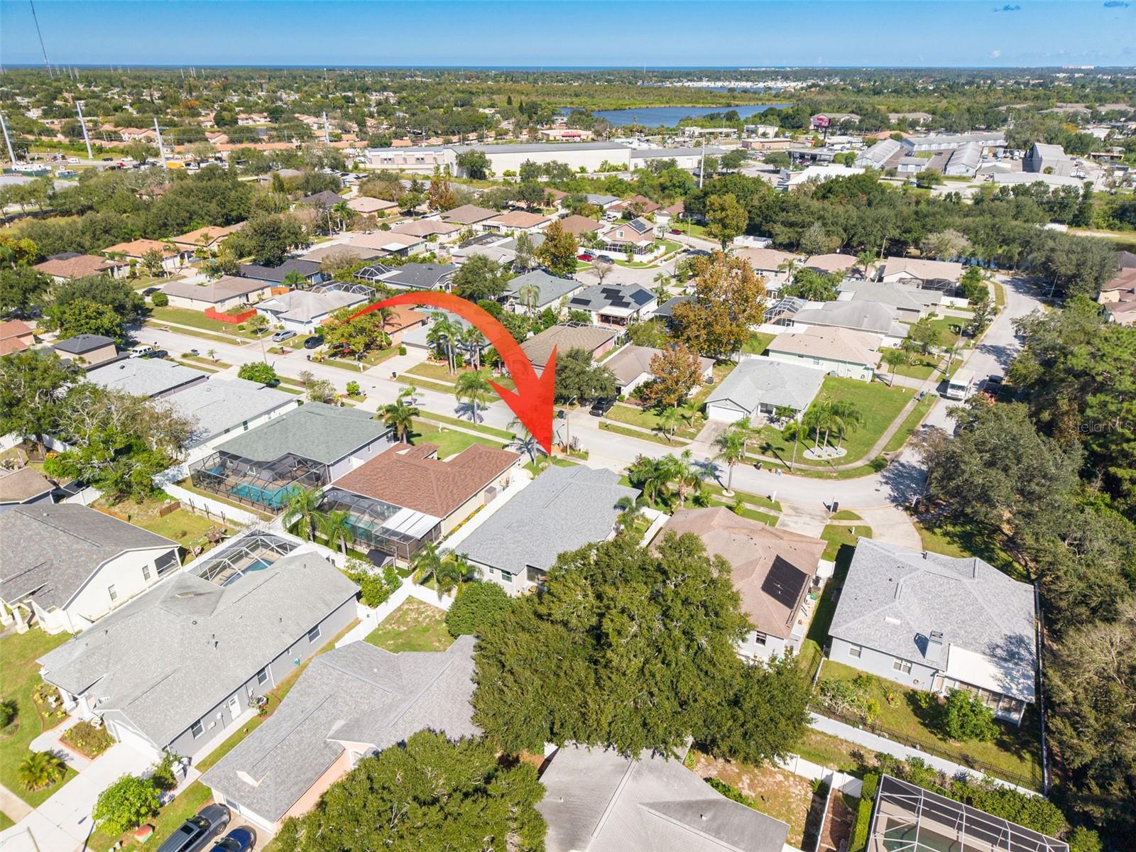 724 SANDY HILLS AVENUE, Tarpon Springs, FL 34689
